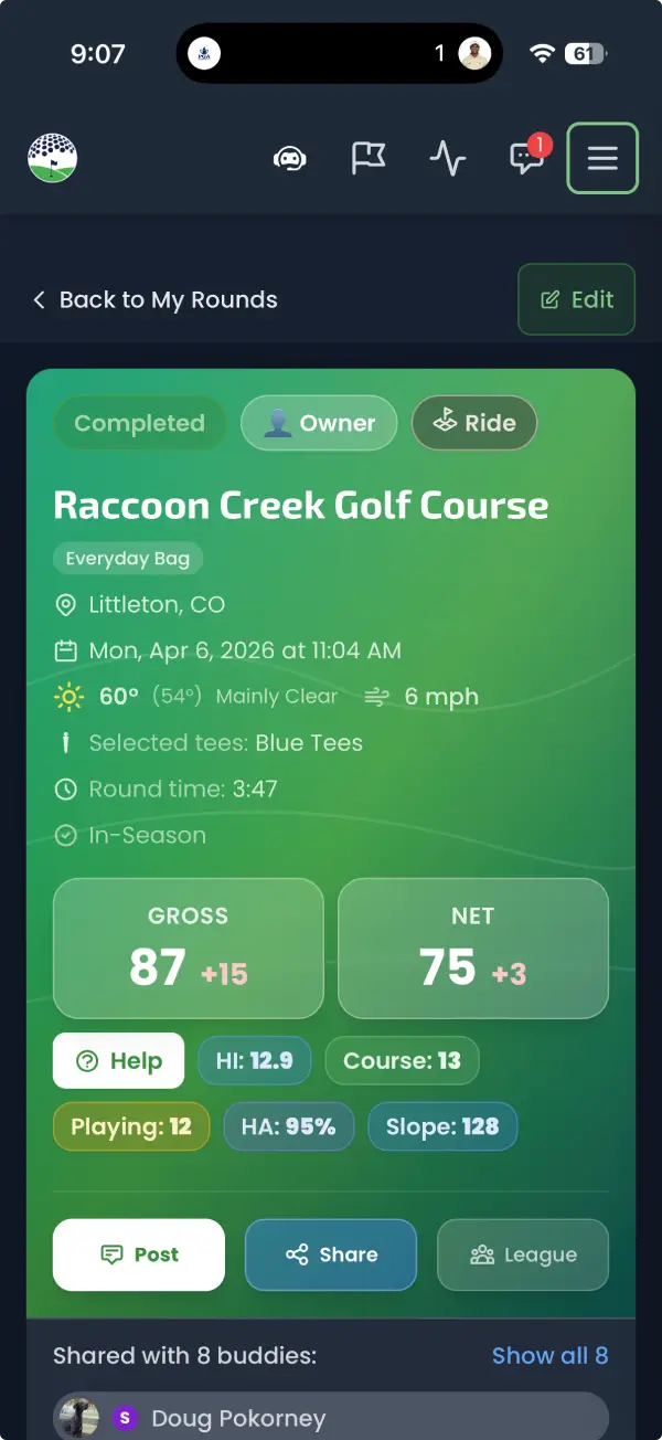 Round details and history on Buddies on the Green