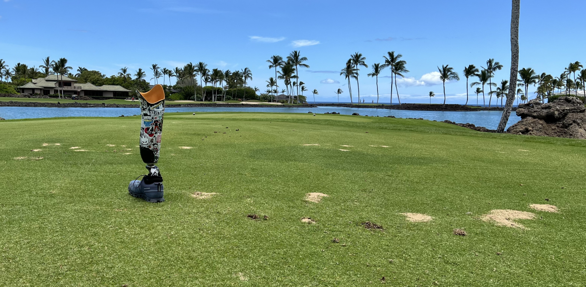 Adaptive golf community